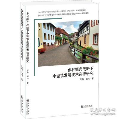 乡村振兴战略下小城镇发展技术选择研究 张晶, 刘炜著 9787522504018