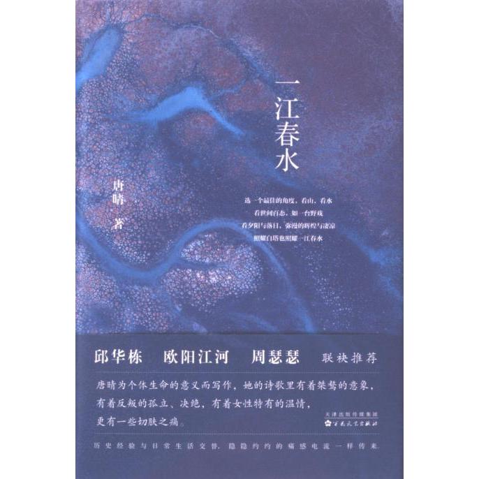 一江春水 唐晴 9787530686904
