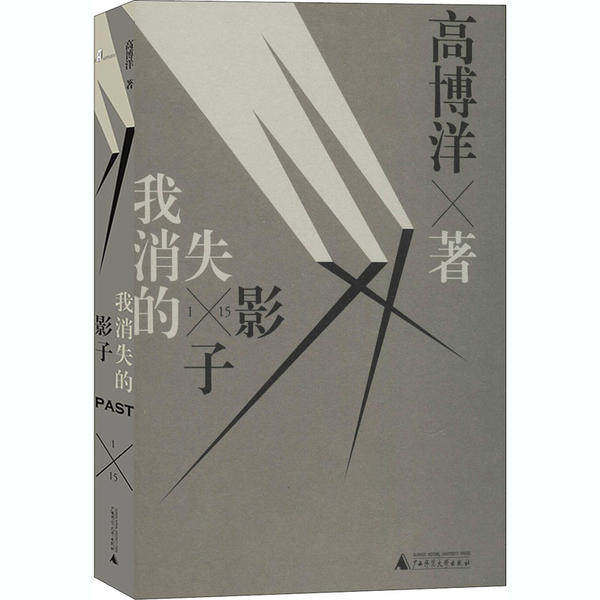 我消失的影子 高博洋著 9787559833112