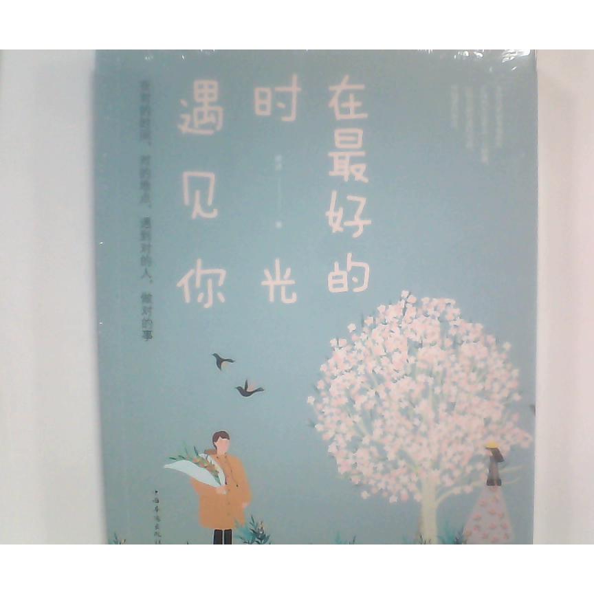 在最好的时光遇见你 雅诗著 9787511377227