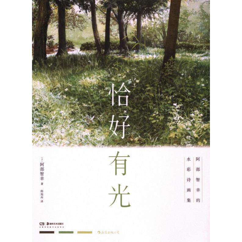 恰好有光 (日) 阿部智幸著 9787574601734