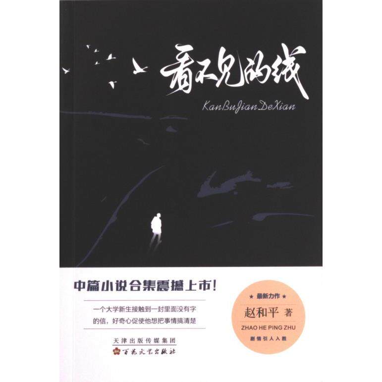 看不见的线 赵和平 9787530684931