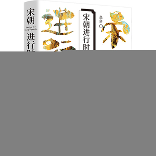 宋朝进行时 野狐狸著 9787553819693