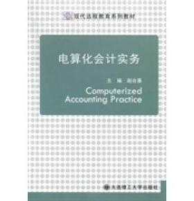 电算化会计实务 主编赵合喜 9787561173435