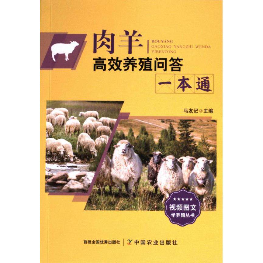 肉羊高效养殖问答一本通 马友记主编 9787109317536