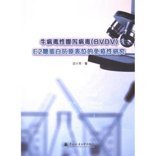 牛病毒性腹泻病毒 (BVDV) E2糖蛋白抗原表位的免疫性研究 沈小芳著 9787567433779