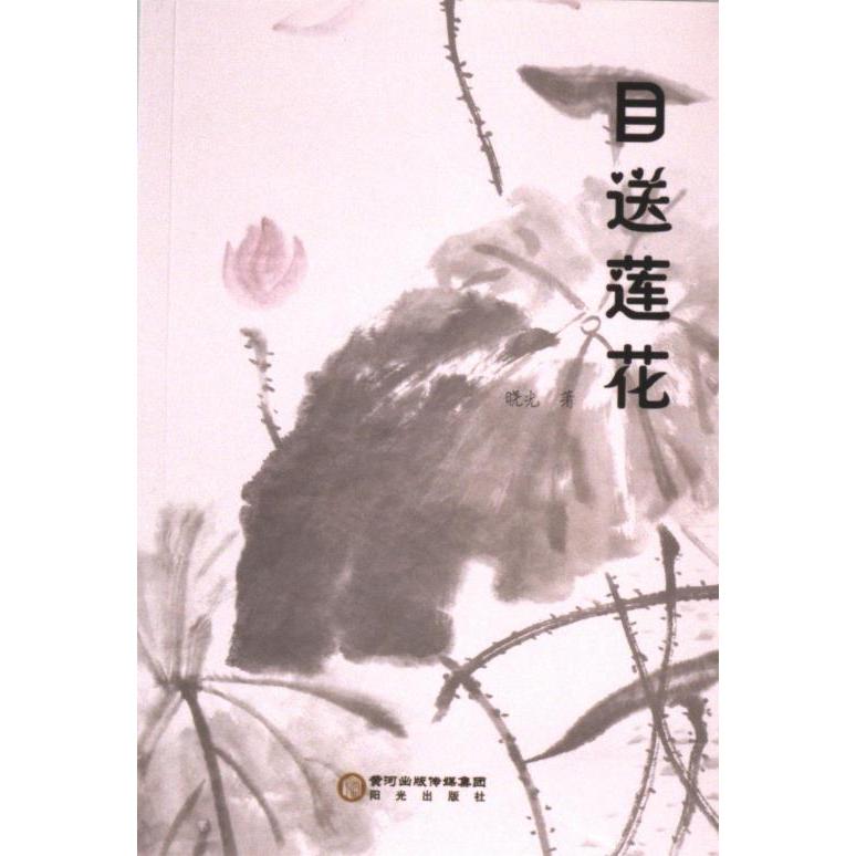 目送莲花晓光著阳光出版社9787552572735