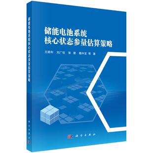 储能电池系统核心状态参量估算策略 王顺利 ... 等著 9787030818553