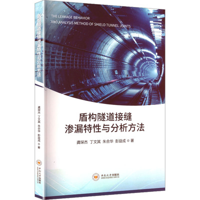 盾构隧道接缝渗漏特性与分析方法 龚琛杰, 丁文其, 朱合华著 9787548762294