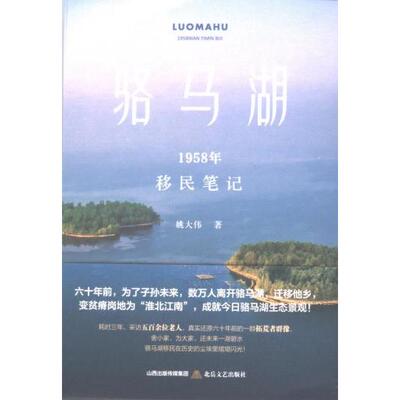 骆马湖 姚大伟著 9787537868129