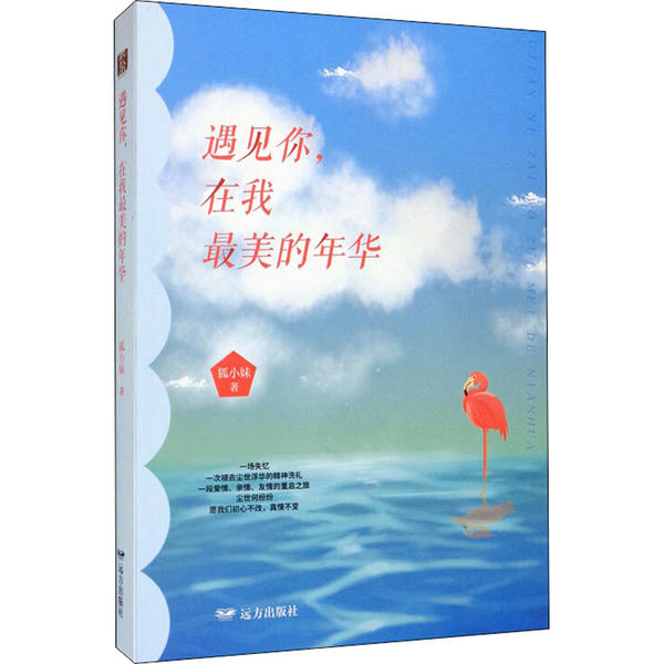 遇见你, 在我最美的年华 狐小妹著 9787555513452
