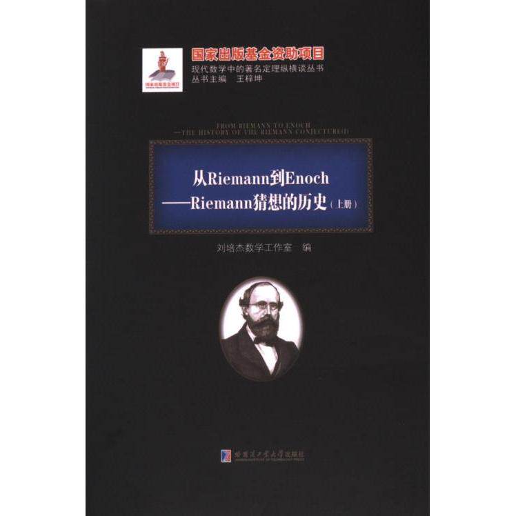 从Riemann到Ecnoch 刘培杰数学工作室编 9787576705140