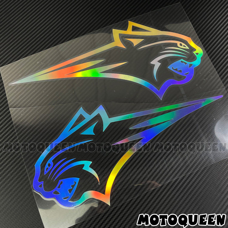 适用钱江闪TR300500S力帆V16灰石摩托车改装饰油箱个性贴纸贴花画