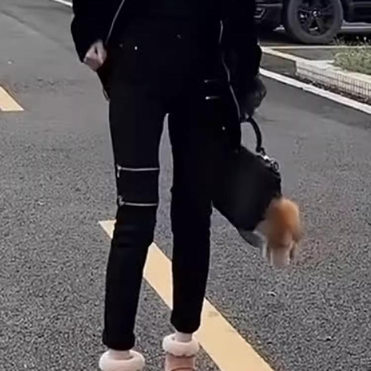 2025新款高腰显瘦小脚牛仔裤