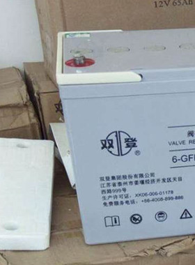 双登蓄电池6-GFM-65铅酸免维护蓄电池12V65AHUPS/EPS太阳能计算机