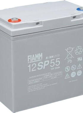 FIAMM 非凡蓄电池12V100AH 12SP100 UPS EPS 直流屏用 铅酸免维护