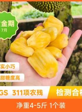 辰颐物语新鲜广东珍珠菠萝蜜6.6斤菠萝蜜现摘水果顺丰包邮