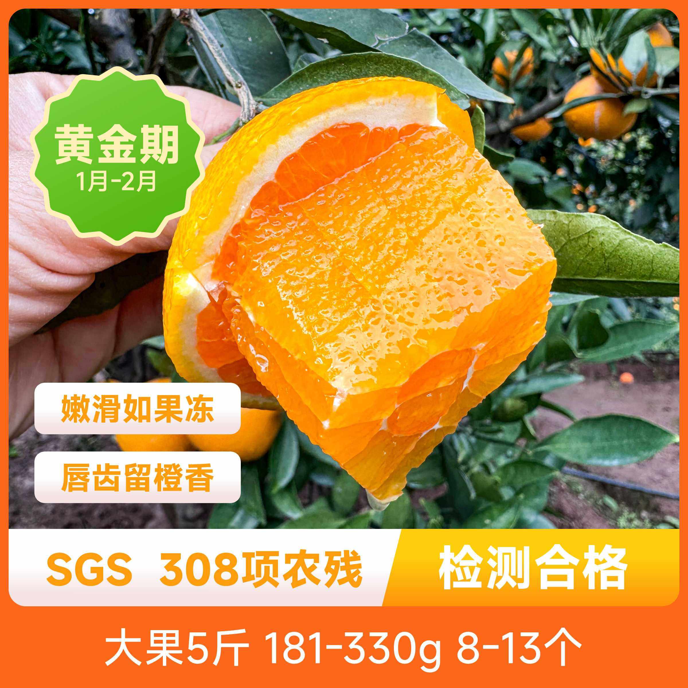 辰颐物语新鲜湖北九月红脐橙5斤现摘秭归橙子应季水果包邮,水产肉类/新鲜蔬果/熟食,橙,淘宝优惠券,粉丝福利购,淘宝优惠卷