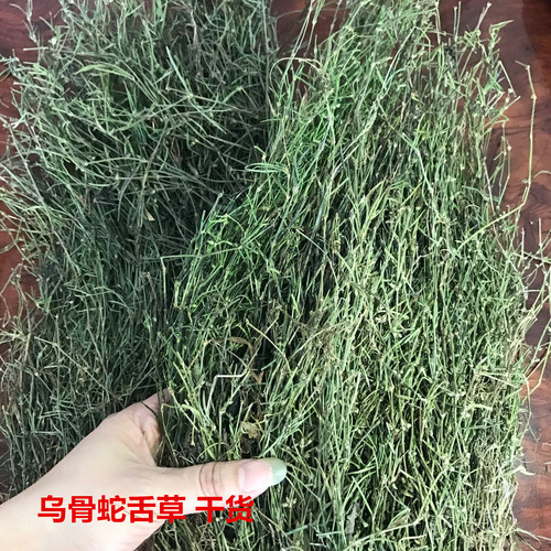 百花舌草素材模板 百花舌草图片下载 小麦优选