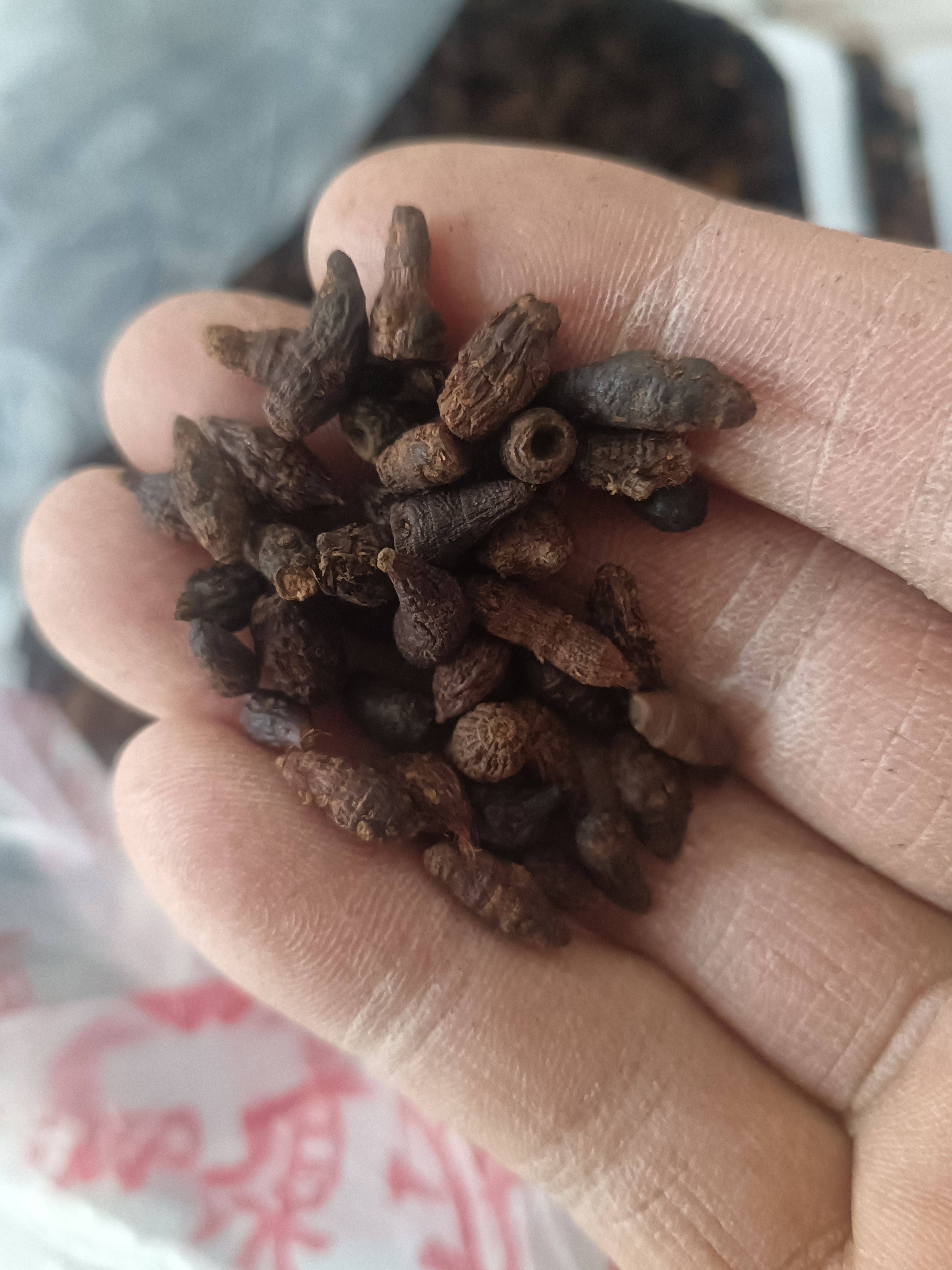 正宗陕西秦岭野生500克香附中药材生香附农家自产香附无硫无添加