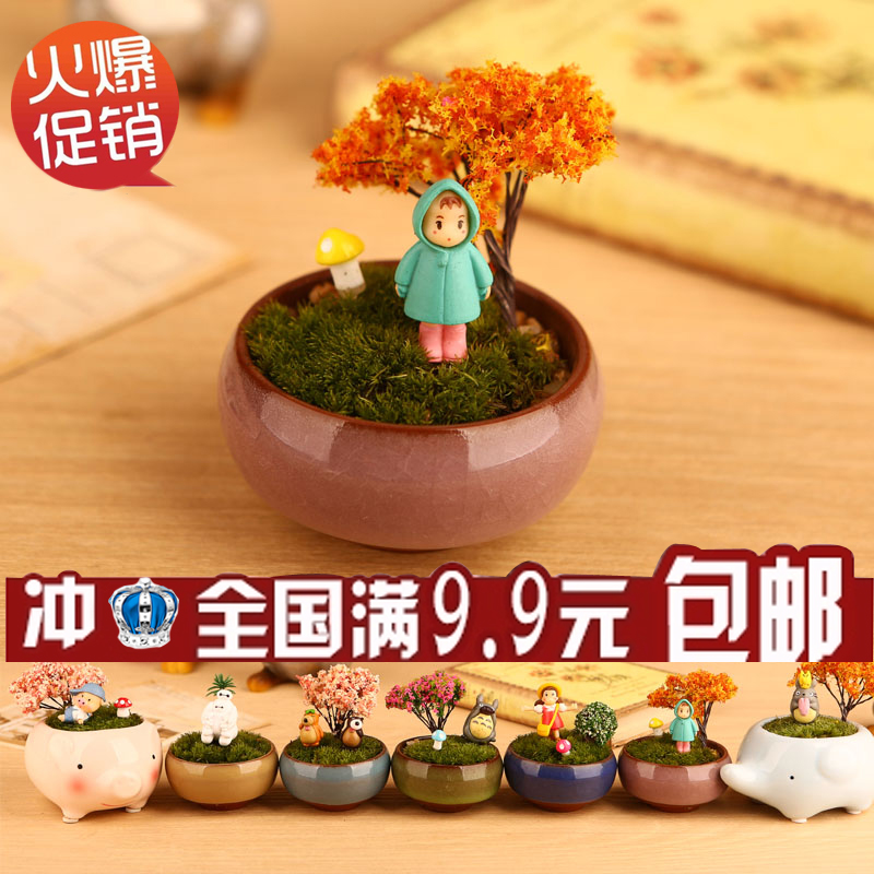 ̦޺ÃÔÄã΢¾°¹Û¶àÈâÂÌÖ²¿É°®Ð¡ÅèÔ԰칫×ÀDIY°Ú¼þÐÂÆæÀñÎï