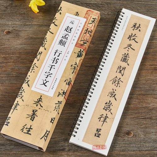 元赵孟頫行书千字文 经典碑帖临摹卡全2册 洪亮主编 赵孟俯行书字