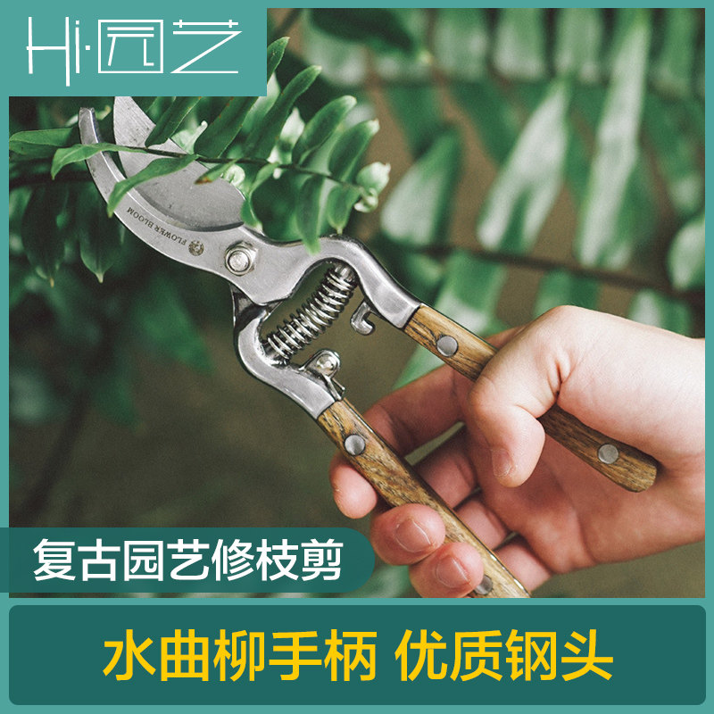 园艺剪园林修枝剪刀花木果树粗枝修剪枝条剪花枝修花剪复古修枝剪