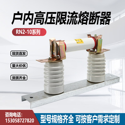 高压限流熔断器RN2-10KV/0.5A带底座户内高压保险管熔断管芯12KV