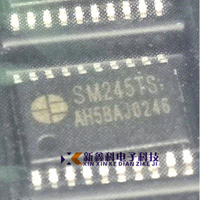 MW245TS SM245TS TSSOP-20 显示屏驱动IC芯片 明微原装