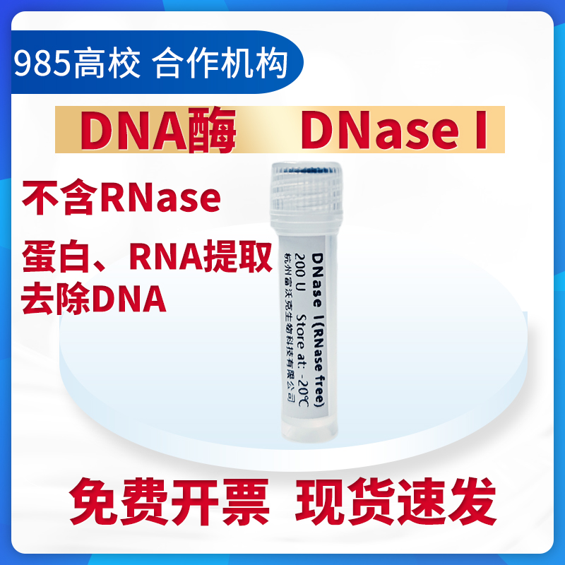 脱氧核糖核酸酶I /DNA酶/ DNase I 试剂200 U 去除DNA RNase Free