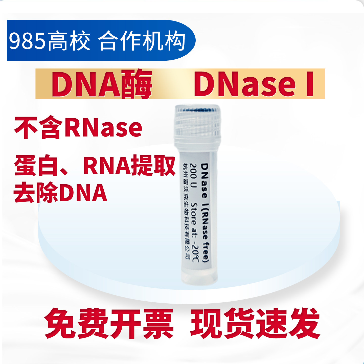 脱氧核糖核酸酶I /DNA酶/ DNase I 试剂200 U 去除DNA RNase Free