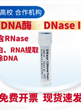 脱氧核糖核酸酶I /DNA酶/ DNase I 试剂200 U 去除DNA RNase Free