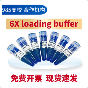 6×DNA Loading buffer 琼脂糖DNA电泳 DNA上样缓冲液 核酸电泳