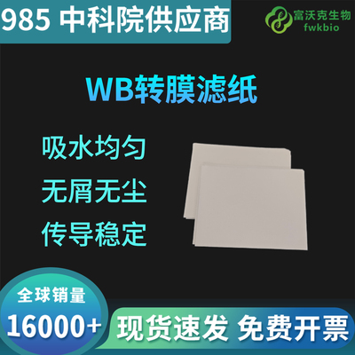 wb滤纸转印转膜湿转FWKNE