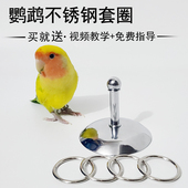 鹦鹉训练玩具用品用具益智虎皮牡丹玄凤套圈不锈钢训鸟表演道具