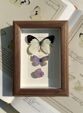 山意SHALL紫色小灰蝶真蝴蝶标本相框小众DIY创意摆台生日礼物装饰