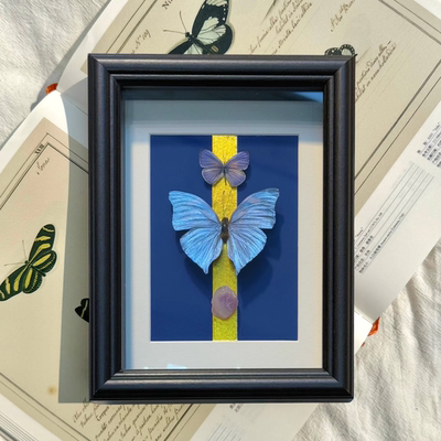 山意SHALL蓝色闪蝶平替蝴蝶标本相框小众DIY创意摆件生日礼物装饰