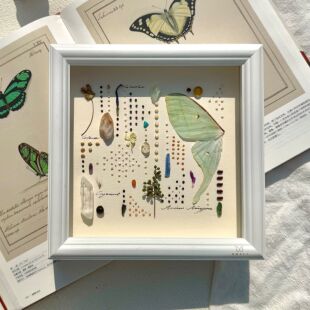 山意SHALL月神蛾真蝴蝶标本相框小众DIY创意立体摆台生日礼物装饰