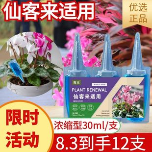 仙客来专用肥料养殖花苗开花年宵花仙客来花肥养护营养液叶面肥料