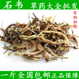 石韦 中药材野生小叶石韦小石苇石背柳石兰泡茶泡酒散装500克包邮