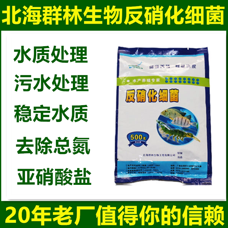 群林 反硝化细菌 水产养殖 污水处理 降解氨氮 净水剂 降亚硝酸盐