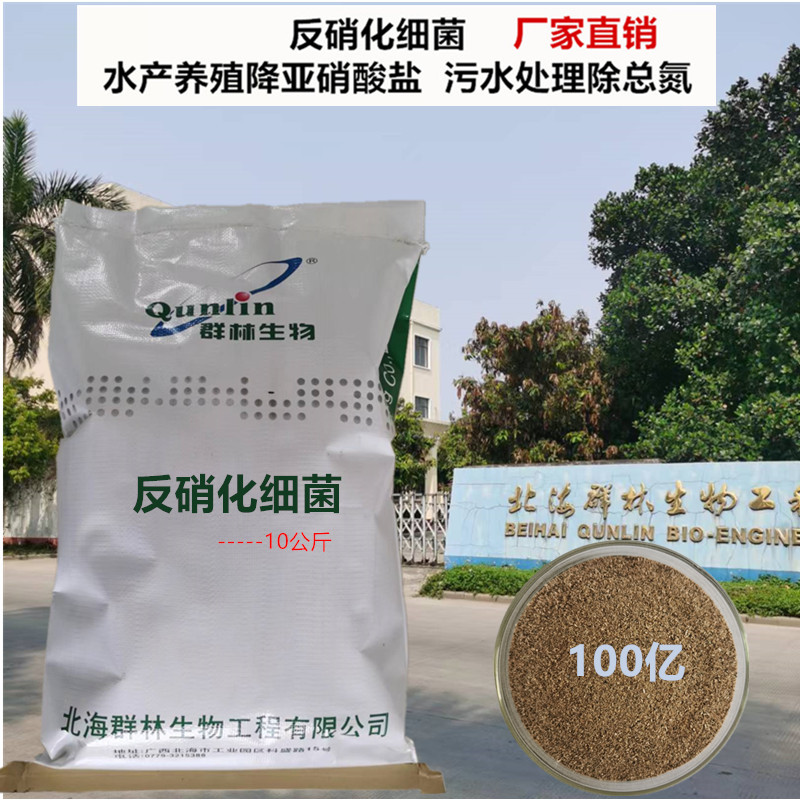 反硝化细菌调水降亚硝酸盐除总氮