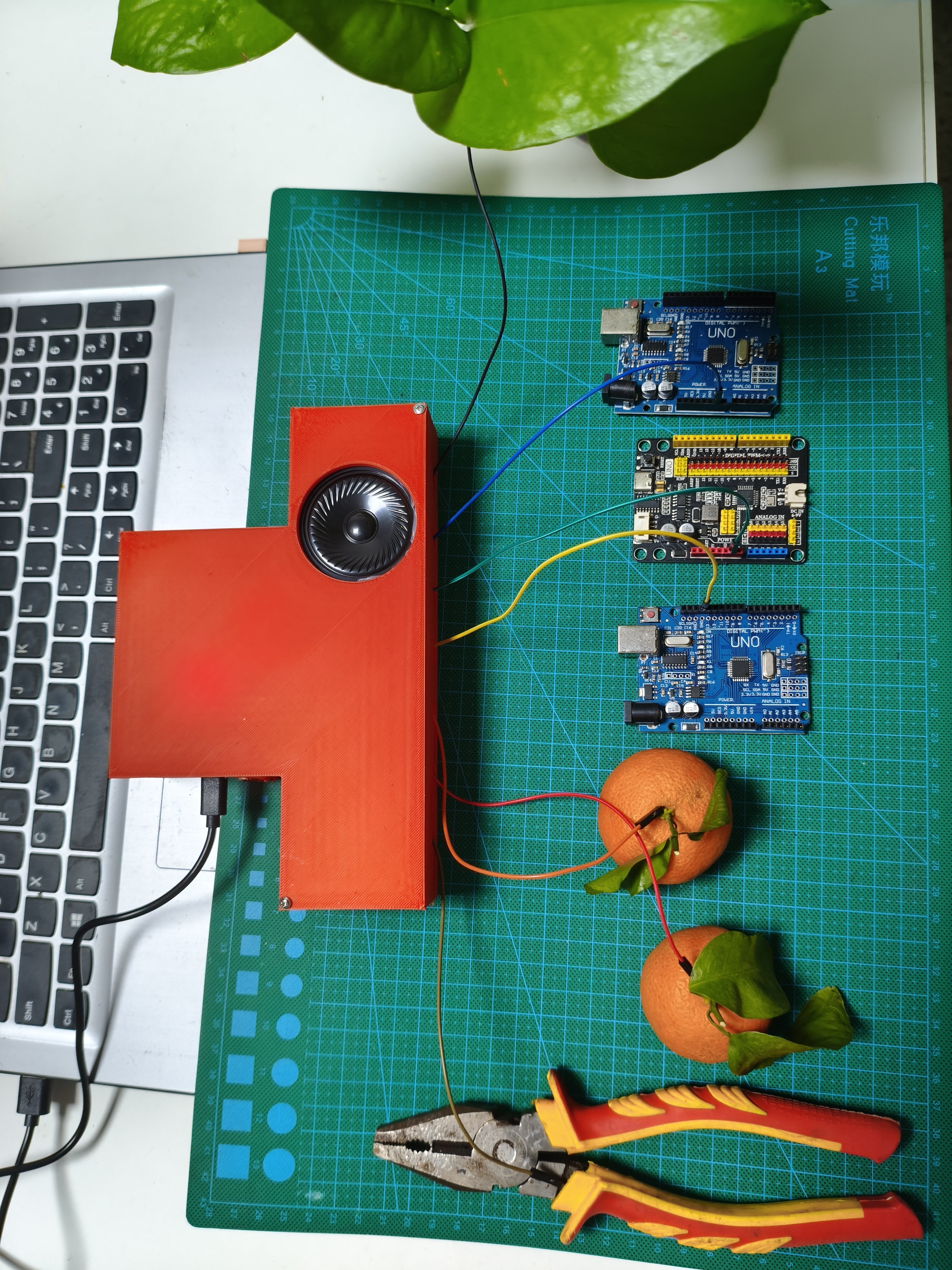 智能水果钢琴作品材料作品小制作发明Arduino