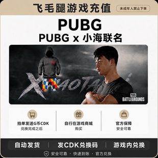 绝地求生steam PUBGx小海联名（面容）G币cdk兑换码（G币包）