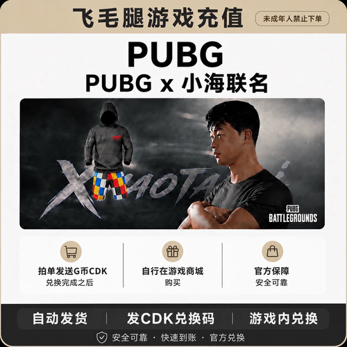 绝地求生steam PUBGx小海联名（面容）G币cdk兑换码（G币包）