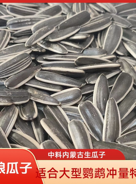 生葵花籽中大型鹦鹉鸟粮零食饲料