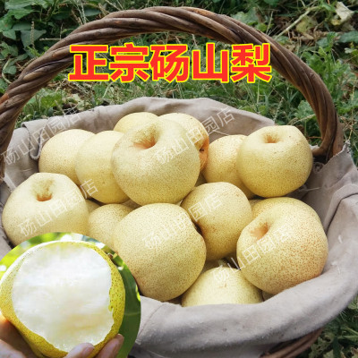 正宗安徽砀山梨整箱烤梨批发