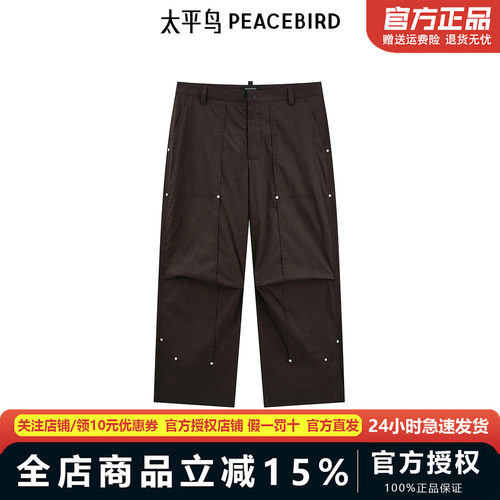 【商场同款】太平鸟男装工装休闲裤2024秋新款时尚长裤B2GBE3Z13