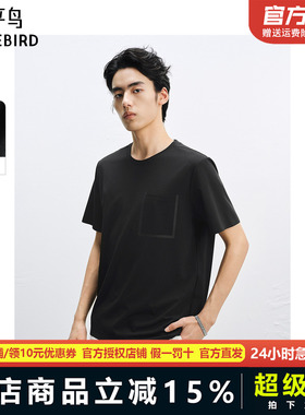 太平鸟男装 潮流休闲黑色圆领短袖T恤男B1CNF2451