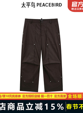 【商场同款】太平鸟男装工装休闲裤2024秋新款时尚长裤B2GBE3Z13
